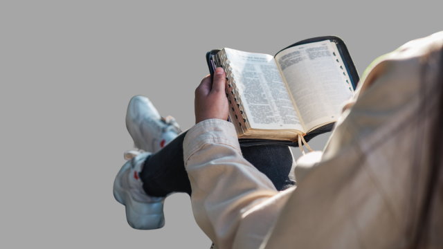 Untitled design (10)